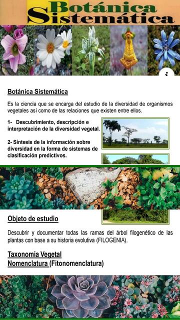 Para quién es este enfoque y qué necesidad específica aborda en tu negocio