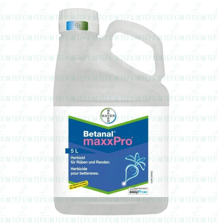 Betanal max pro fiyat