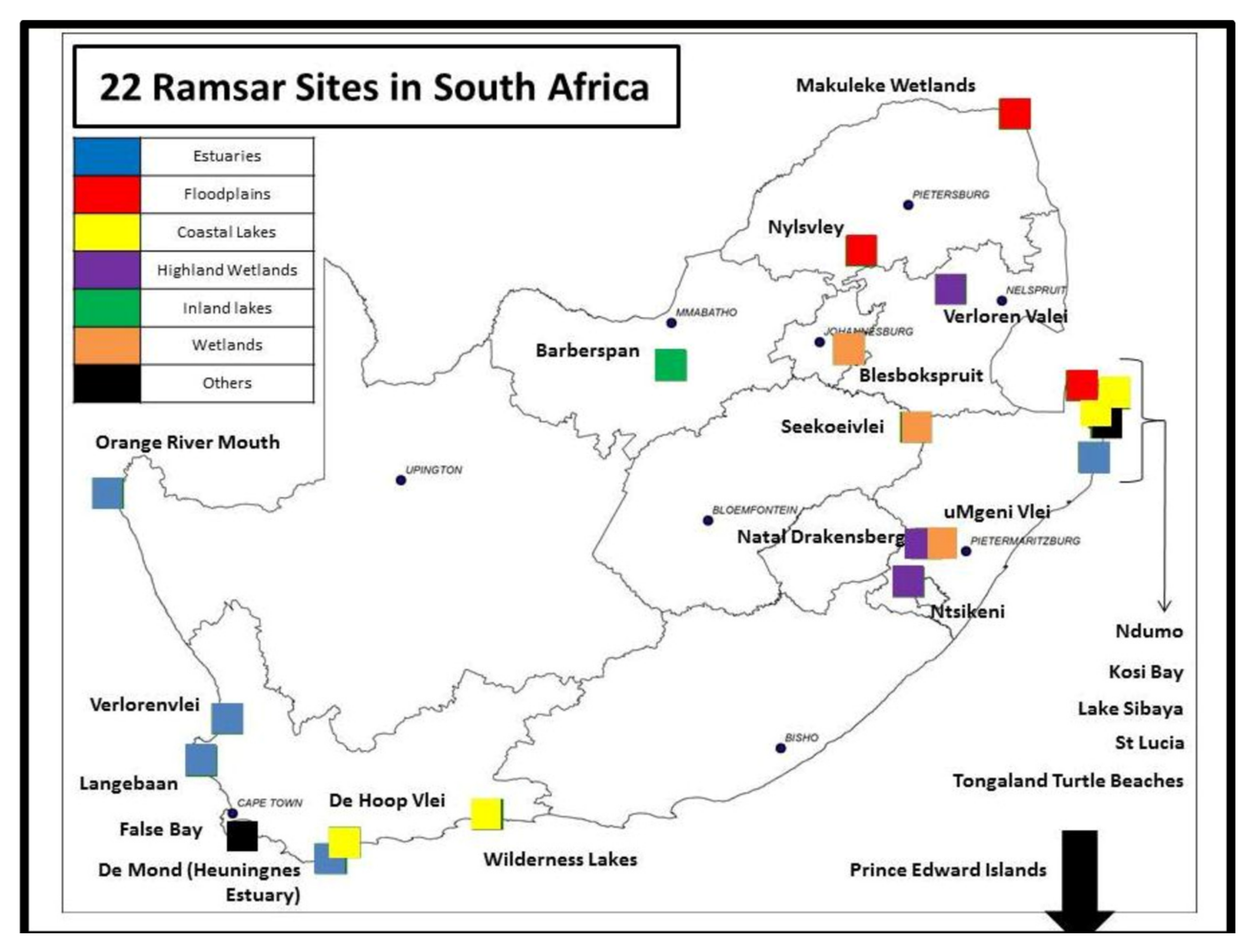 Betanoid south africa