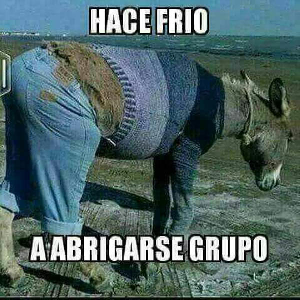 Medición de resultados, pruebas simples y ajustes rápidos de la estrategia